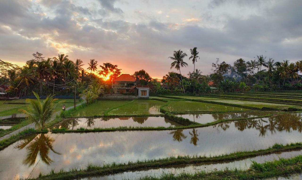 Umah Bali Villa Убуд Екстер'єр фото