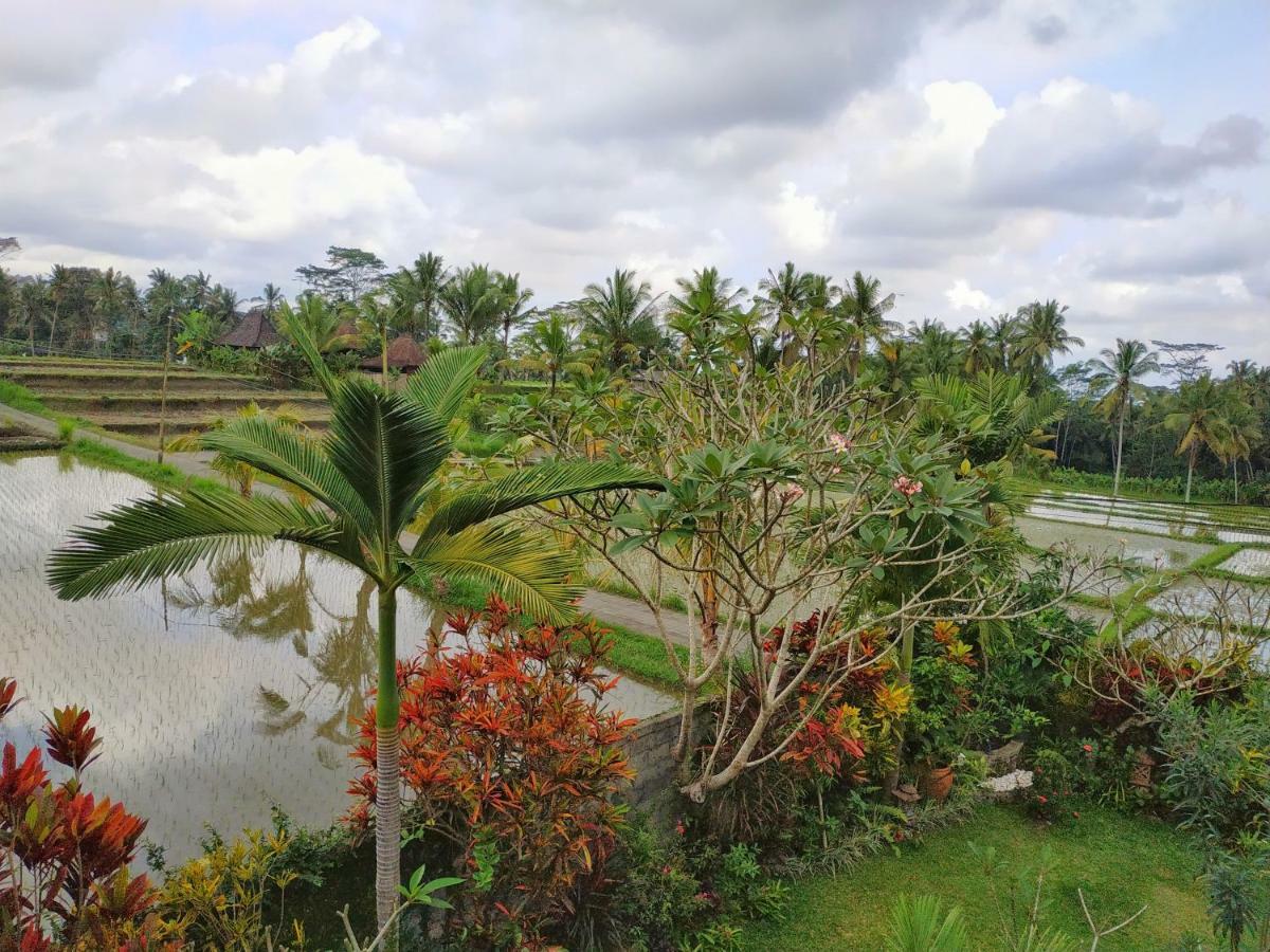 Umah Bali Villa Убуд Екстер'єр фото